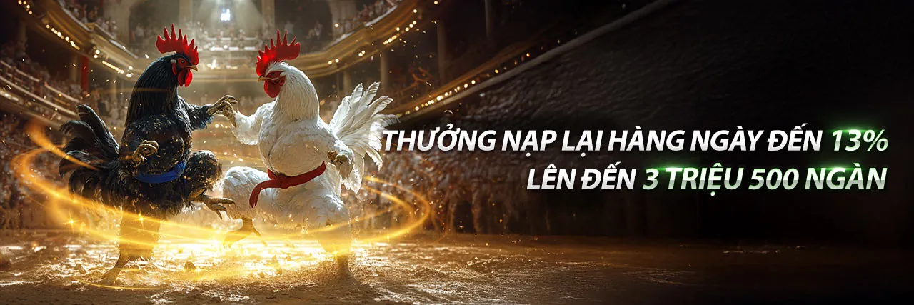 Đá gà tre 2020 kịch tính tại Mu88